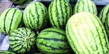 快速吃瓜特效,尽享夏日清凉盛宴