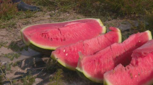 快速吃瓜特效,尽享夏日清凉盛宴