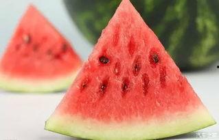 汽车点餐吃瓜,边开车边吃瓜，新潮流餐饮体验来袭