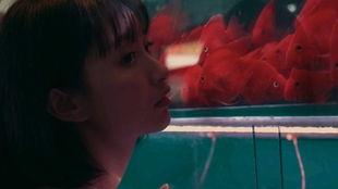 吃瓜语录少女,揭秘少女们的吃瓜日常