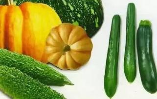 晨曦瓜在哪吃,探寻美食之源，揭秘最佳品尝地