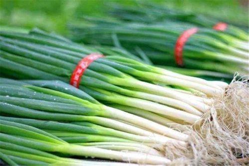 锦缎儿吃瓜,揭秘娱乐圈幕后故事