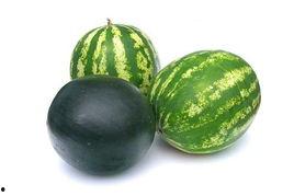 最新博乐吃瓜事件