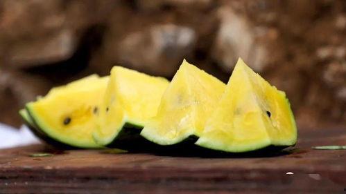 映月湖吃瓜,夏日炎炎，欢乐无限