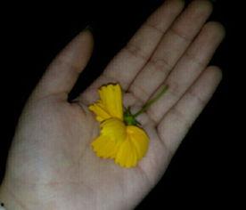 吃瓜群众夏天吃瓜视频,吃瓜群众热追清凉吃瓜视频