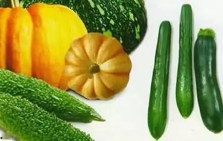 吃瓜互助,揭秘网络社交中的“瓜田效应”