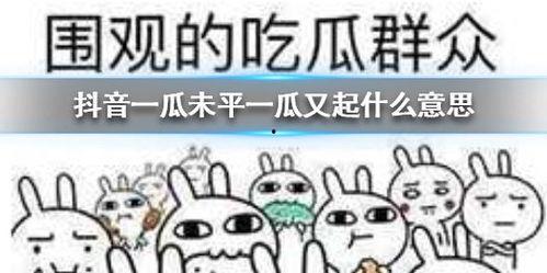 梗梗吃瓜,揭秘娱乐圈那些不为人知的幕后故事