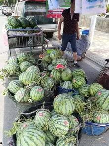 江都最新吃瓜事件,揭秘网络热议背后的真相