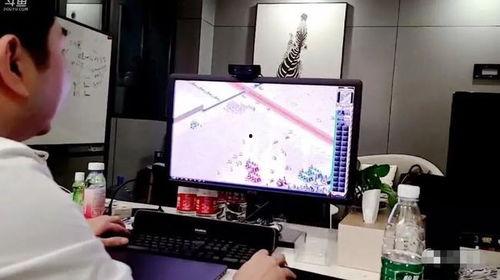 吃瓜大舅,一场关于美食与生活的趣味之旅