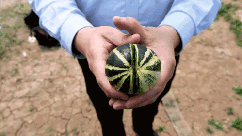 济宁吃瓜,一网打尽本地美食风情