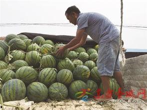 济宁吃瓜,一网打尽本地美食风情