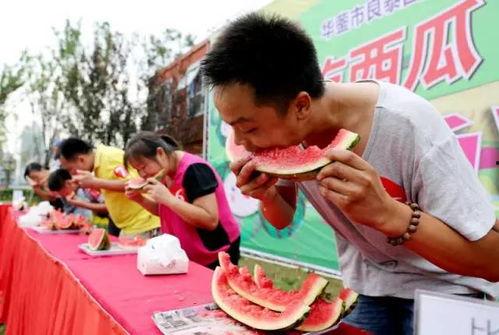 吃瓜群众专家,揭秘娱乐圈幕后真相