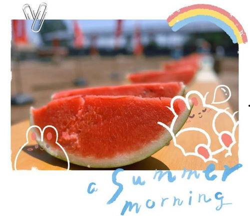 认真的吃瓜,揭秘娱乐圈那些事儿