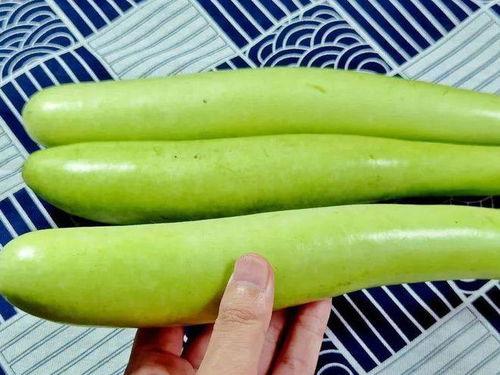 2025年9月吃瓜,吃瓜群众的热议焦点大盘点