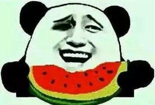 吃瓜群众好幸福