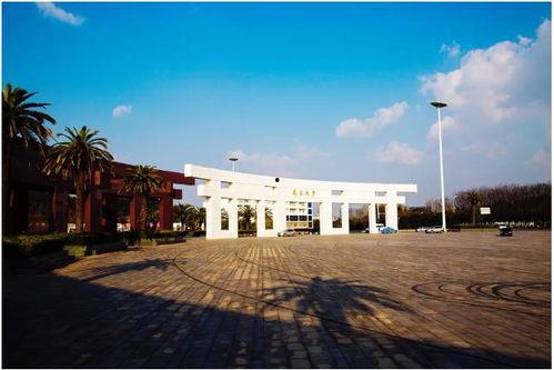 南昌大学吃瓜,揭秘校园热点背后的故事