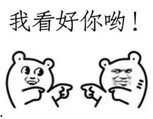 带你吃瓜小企鹅,带你领略“带你吃瓜小企鹅”的独特魅力