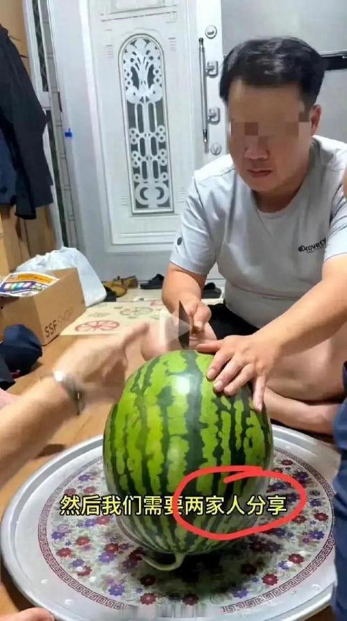 日常吃瓜现场,笑料百出，趣味横生